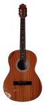 Truetone Acoustic Hawaiian Guitar