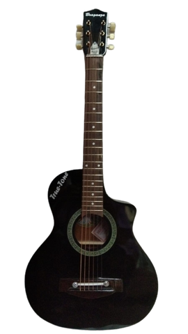 Truetone Travel Acoustic Guitar_back glossy