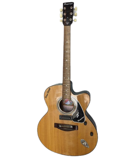 Semi acoustic guitar discount price