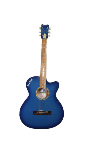 Truetone Standard Acoustic Guitar
