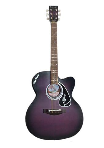 Truetone Classic Acoustic Guitar – Braganzas