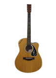 Truetone Jumbo Cutaway Guitar - Braganzas